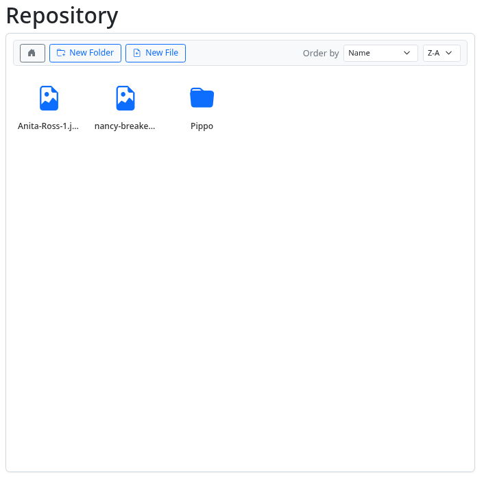 DressAPI file repository manager